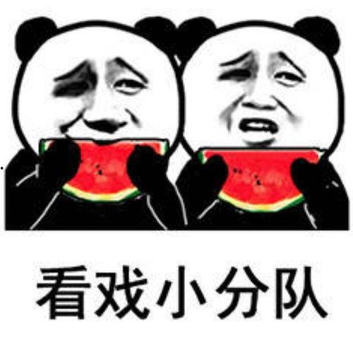 吃瓜姐表情包,笑料横生的网络文化现象