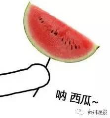 《会长》吃瓜,揭秘权力背后的瓜田秘事