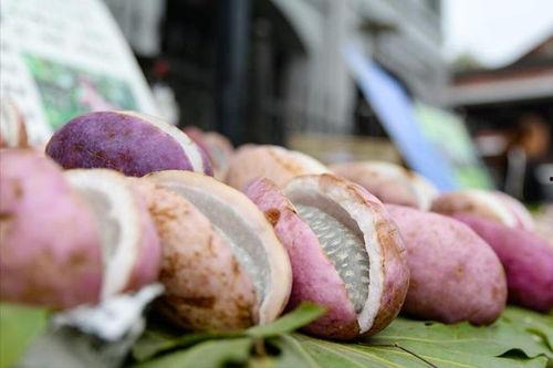 吃三月瓜文案,三月瓜的清新口感与养生之道”